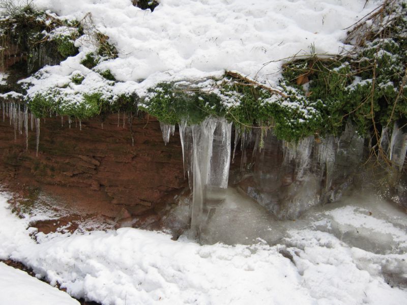 2010-02-20 Grossman (04) interesting ice formations